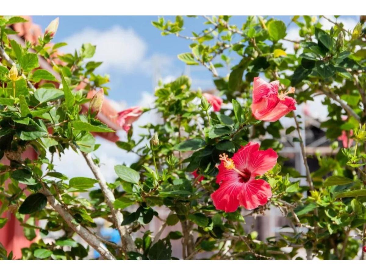 Hotel Pescatore Okinawa - Vacation Stay 20882V Naha Exteriör bild