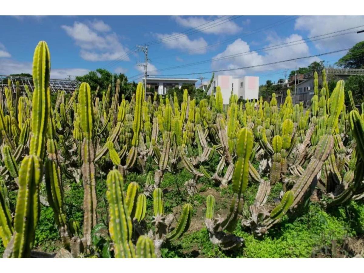 Hotel Pescatore Okinawa - Vacation Stay 20882V Naha Exteriör bild